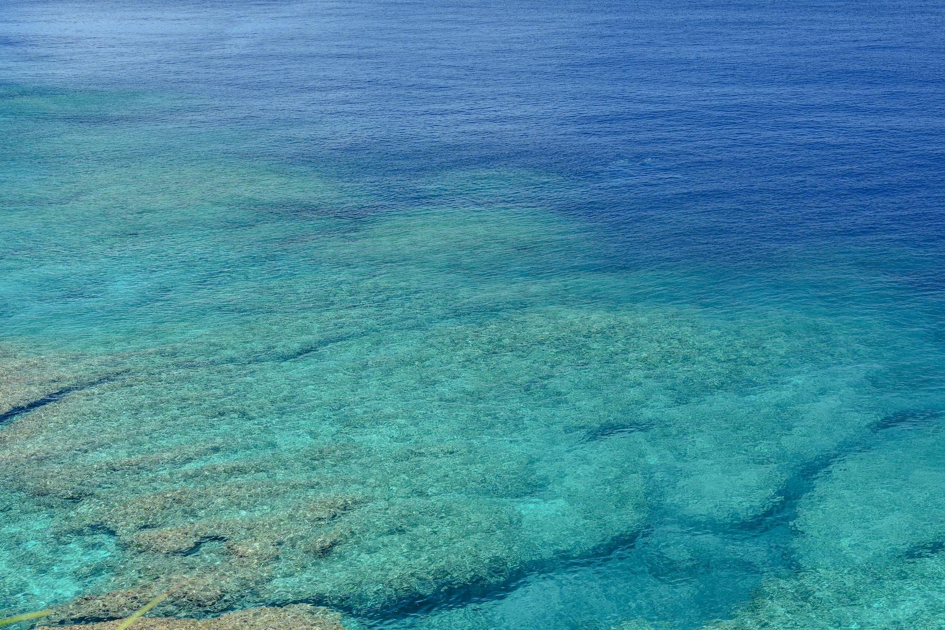 沖繩水上活動完全攻略，浮潛、潛水、獨木舟全整理