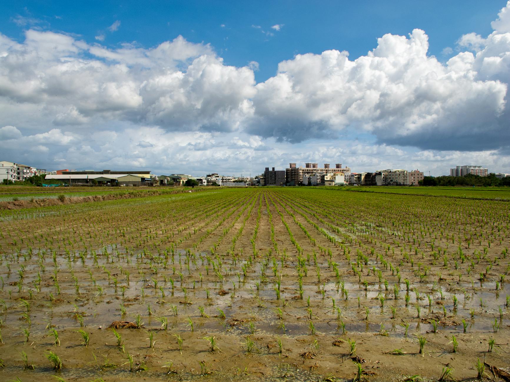 台灣花東縱谷自行車道完整攻略,台東到花蓮最美路線