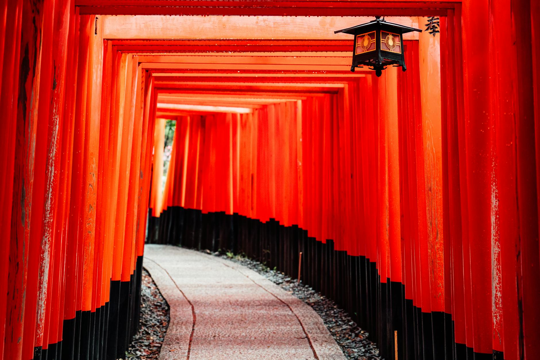 日本京都必去的五大秘境神社，深度旅遊完全攻略