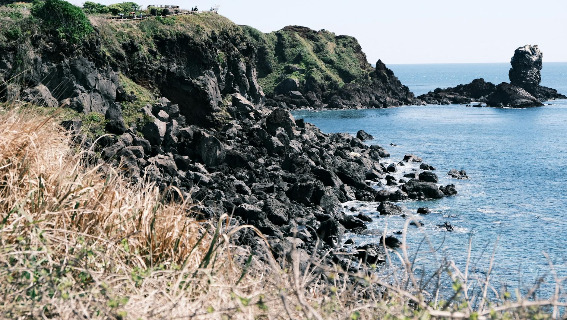 韓國濟州島租車自由行攻略：必去景點與美食全整理